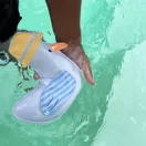 Sunnylife merülőjáték szett (3 db) - Sid the Seagull