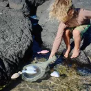 Sunnylife horgászjáték - Apple Sorbet