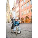 Scoot and Ride Highwaykick 1 Push & Go - Ash