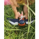 Tender Leaf - Repülő fecske nyuszival