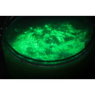 Tuban neon slime készítő