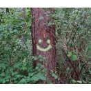 Tuban neo krétafesték spray - Zöld