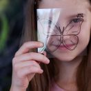 Tuban Bug Lab – Alkoss saját rovarokat!