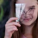 Tuban Bug Lab – Alkoss saját rovarokat!