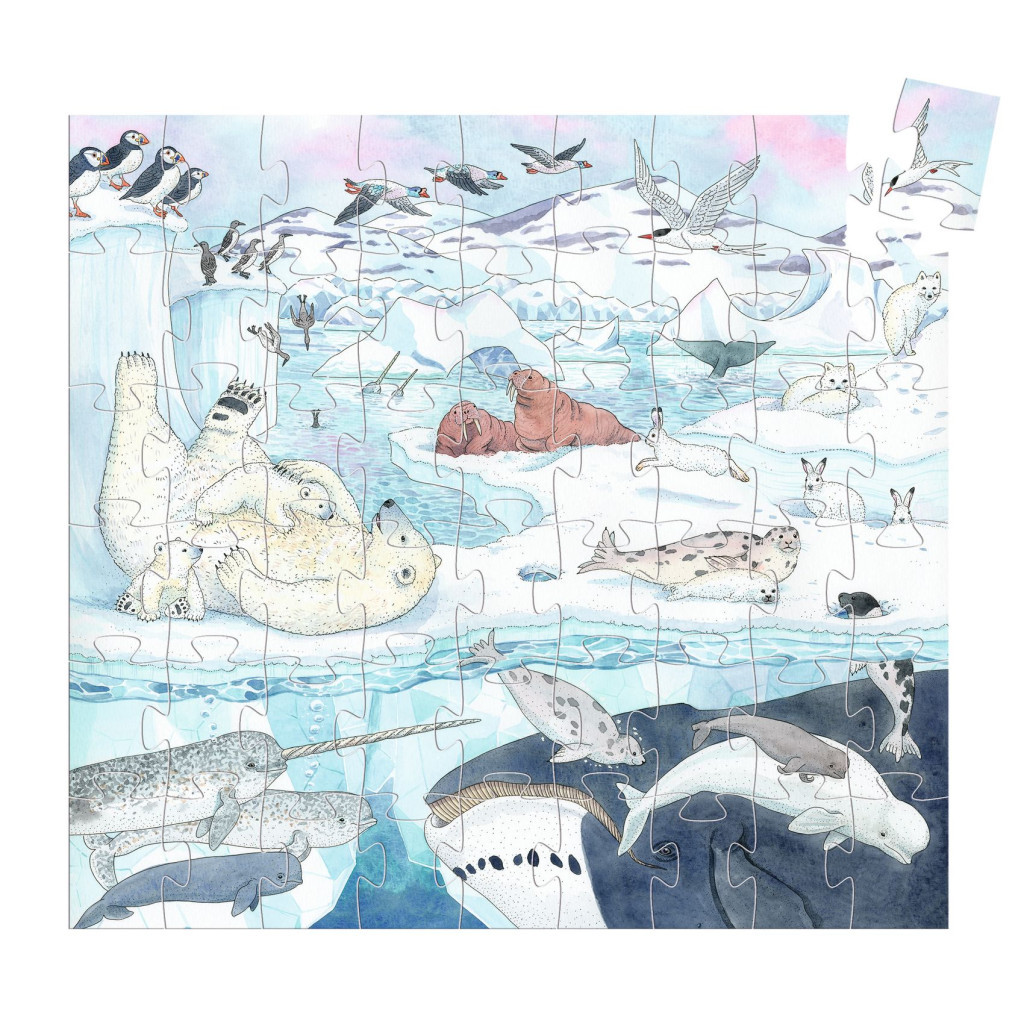 Djeco Formadobozos puzzle - Élet a sarkvidéken, 54 db-os - Polar softness